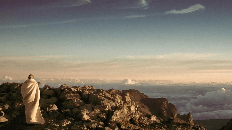 Bookshelf - professional stock photography