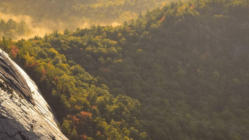 Cushion - professional stock photography