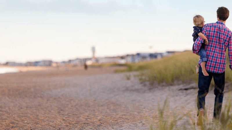 Garden - professional stock photography